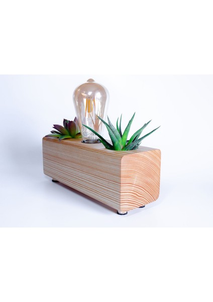 Ahşap Gece Lambası ve Sukulent Saksı Seti, Sıcak ve Doğal Tasarım. fiyatları