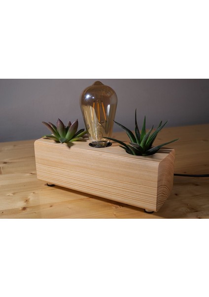 Ahşap Gece Lambası ve Sukulent Saksı Seti, Sıcak ve Doğal Tasarım. modelleri