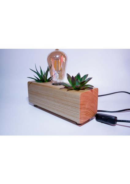 Ahşap Gece Lambası ve Sukulent Saksı Seti, Sıcak ve Doğal Tasarım. fırsatları