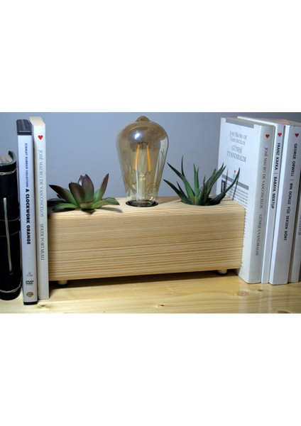 Ahşap Gece Lambası ve Sukulent Saksı Seti, Sıcak ve Doğal Tasarım.