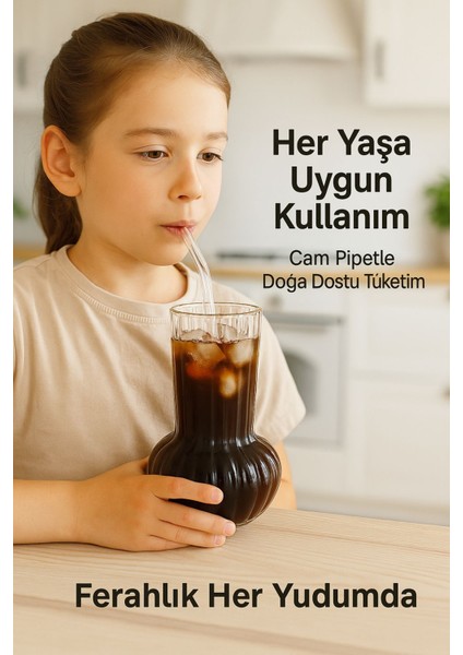 6 Adet Premium Cam Bardak Cam Pipet Hediyeli– Soğuk Kahve, Limonata ve Soda Sunumlar 500 ml modelleri