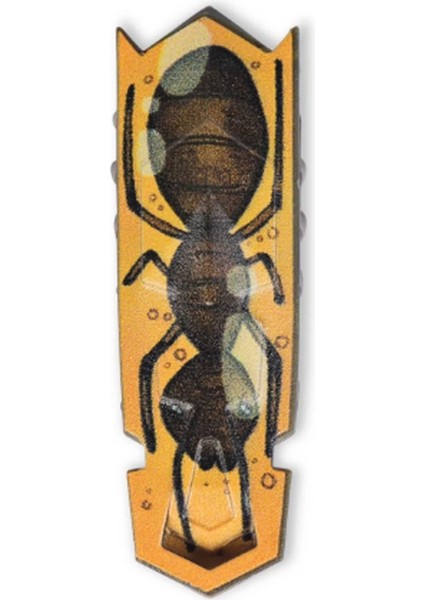 Bfs Hexbots Nano Newton modelleri