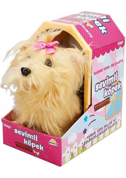 Bfs Sunman Sevimli Köpek Terrier fiyatları