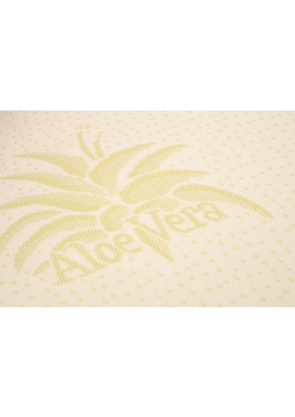 Visco Aloevera Ortopedik Yastık 50X70 fiyatları