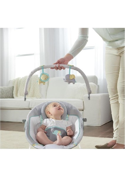 Titreşimli, Oyuncak Barlı ve Sesli, 0-6 Ay Ana Kucağı modelleri