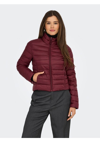 Onltahia Puffer Mor Kadın Mont 15351967