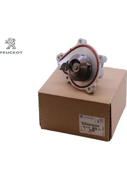 Devirdaim Pompasi 207-308-3008-PARTNER Ep6