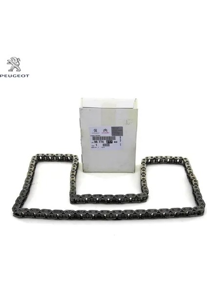 Eksantrik Zinciri Boxer-Transit 2.2hdi 07->