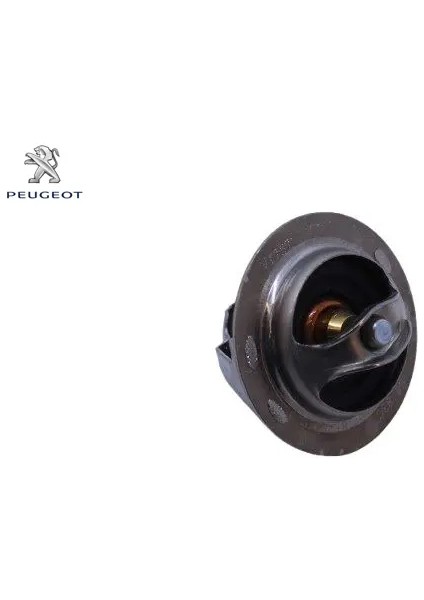Termostat 306-406 XU10J4 Peugeot 1338.39