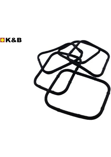 Emme Manifold Contasi 206-307-308-3008-5008-PARTNER C2-C3-C4-C5-Focus-Fiesta1.6hdi Euro4