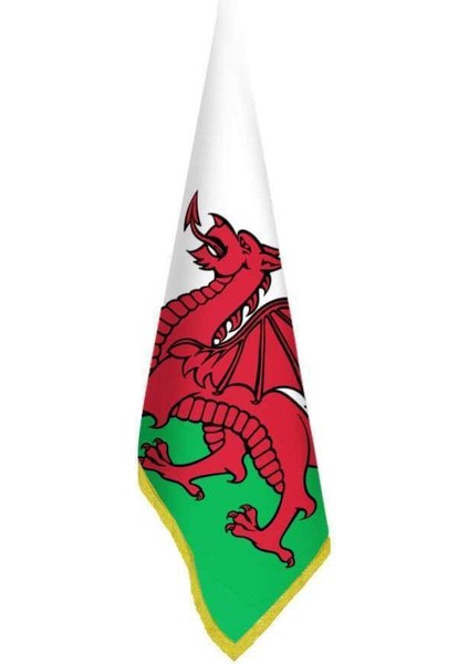 Galler Bayrağı - Ofis - Makam -Toplantı Odaları - Saçaklı Makam Bayrağı