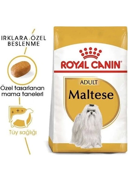 Royal Canin Maltese Terrier Adult Yetişkin Köpek Maması 1.5 kg fiyatları