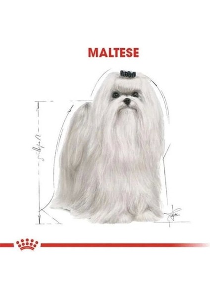 Royal Canin Maltese Terrier Adult Yetişkin Köpek Maması 1.5 kg indirimleri