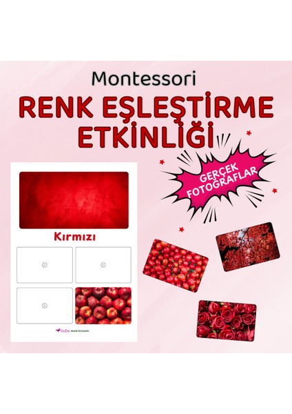 Renk Eşleştirme Oyunu – Dikkat ve Renk Algısı Etkinliği (3+ Yaş) – Renk Algısını Güçlendiren Sınıflandırma Oyunu – Montessori Renk Sınıflandırma Seti