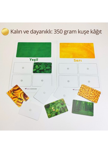 Renk Eşleştirme Oyunu – Dikkat ve Renk Algısı Etkinliği (3+ Yaş) – Renk Algısını Güçlendiren Sınıflandırma Oyunu – Montessori Renk Sınıflandırma Seti indirimleri