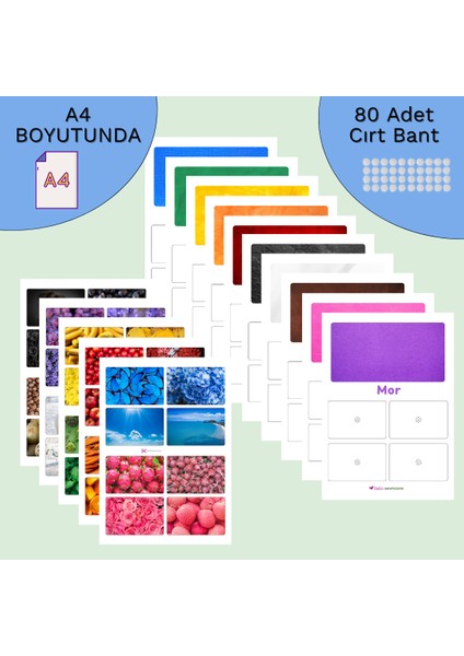 Renk Eşleştirme Oyunu – Dikkat ve Renk Algısı Etkinliği (3+ Yaş) – Renk Algısını Güçlendiren Sınıflandırma Oyunu – Montessori Renk Sınıflandırma Seti