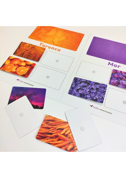 Renk Eşleştirme Oyunu – Dikkat ve Renk Algısı Etkinliği (3+ Yaş) – Renk Algısını Güçlendiren Sınıflandırma Oyunu – Montessori Renk Sınıflandırma Seti
