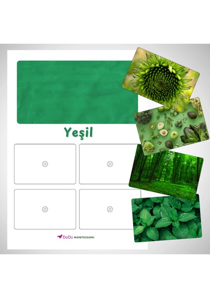 Renk Eşleştirme Oyunu – Dikkat ve Renk Algısı Etkinliği (3+ Yaş) – Renk Algısını Güçlendiren Sınıflandırma Oyunu – Montessori Renk Sınıflandırma Seti
