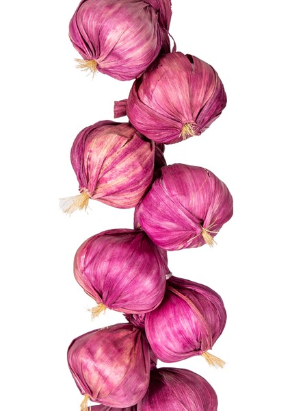 Yapay Soğan Bağ Mor fiyatları