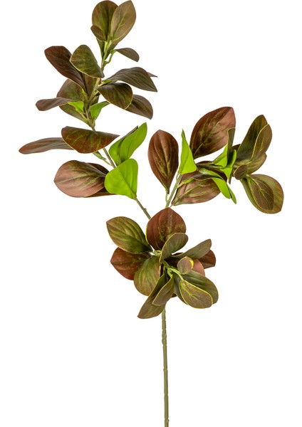 Yapay Manolya Dalı Kahverengi 70 Cm.