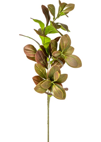 Yapay Manolya Dalı Kahverengi 70 Cm. modelleri