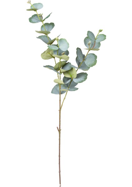 Yapay Okaliptus Dalı Yeşil 75 Cm.
