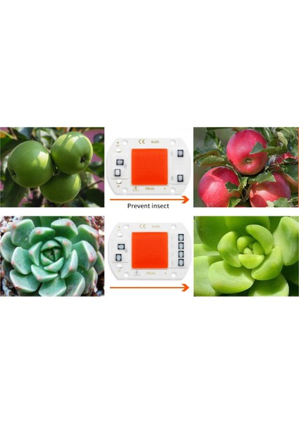 Grow Cob LED 220V 50W Full Spectrum Bitki Yetiştirme Ledi fiyatları