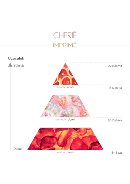 Cherié Edp 50 ml & Seyahat Boy 15 ml Kadın Parfüm Seti I Çiçeksi ve Fresh I Çilek, Ananas, Şakayık
