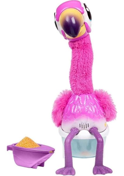 Bfs Dans Eden Flamingo LPG00000 modelleri