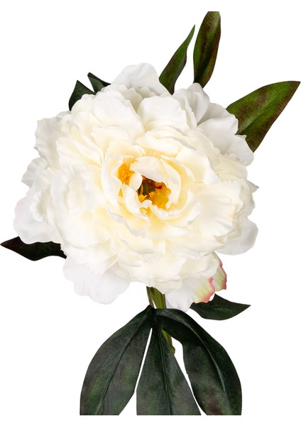 Yapay Şakayık Beyaz 65 Cm. fiyatları