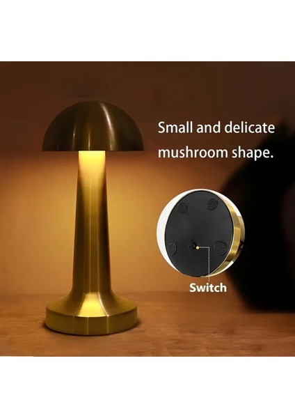 Renkli Şarjlı Masa Lambası, Metalik Tasarım, Şık ve Kullanışlı Işık Kaynağı modelleri