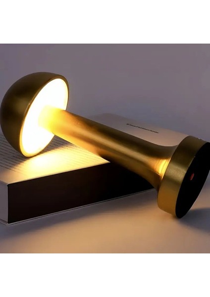 Renkli Şarjlı Masa Lambası, Metalik Tasarım, Şık ve Kullanışlı Işık Kaynağı indirimleri