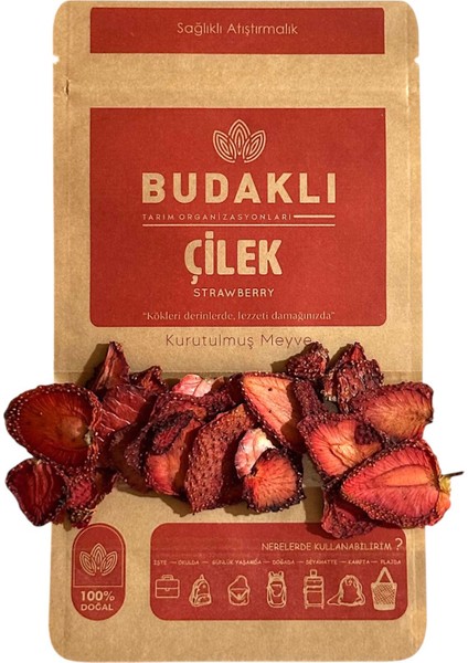Çilek Kurusu 100 Gr fiyatları