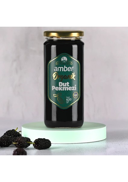 2'li Organik Dut Pekmezi Paketi 2X620 gr modelleri