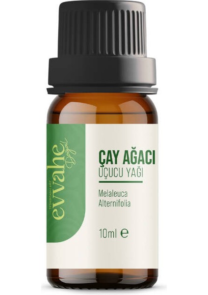 Çay Ağacı Yağı (10ml.) fiyatları