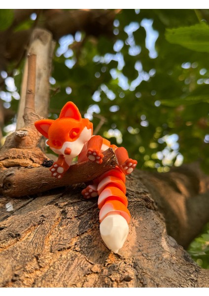 Sevimli Eklemli Tilki fırsatları