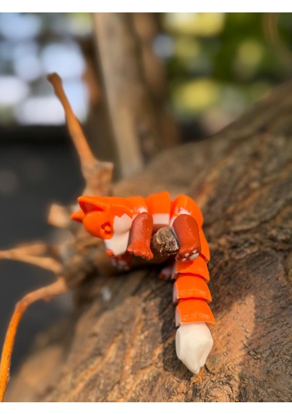 Sevimli Eklemli Tilki indirimleri