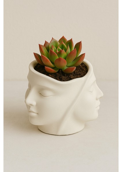 Dekoratif Yüz Şeklinde Saksı – Çift Başlı Taş Tozu Vazo | Sukulent, Makyaj Düzenleyici Veya Kalemlik