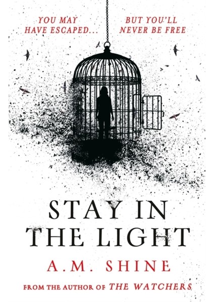 Stay In The Light