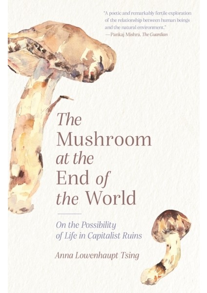 Mushroom At The End Of The World : On The Possibility Of Life In Capitalist Ruins