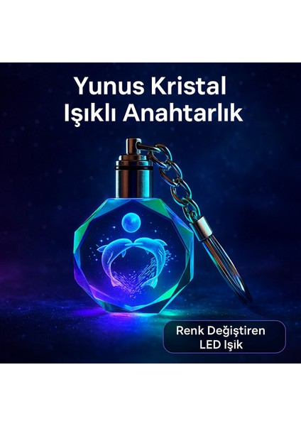 Renkli Yunus Temalı Gece Lambası ve Işıklı Anahtarlık Seti (Hediye) modelleri
