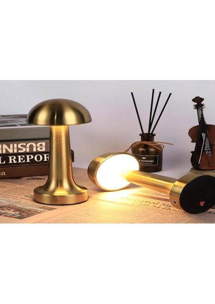 Şarjlı Pembe LED Masa Lambası - Dekoratif, Şık ve Kullanışlı (100 Karakter) fiyatları