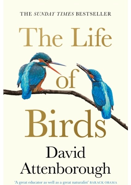 Life Of Birds
