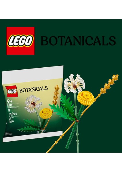 30701 LEGO Botanicals Field Flowers (77 Parça) Tarla Çiçekleri