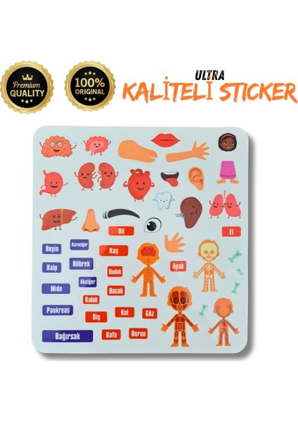 Ilk Sticker Kitabım Tekrar Kullanılabilir 44 Adet Sticker modelleri