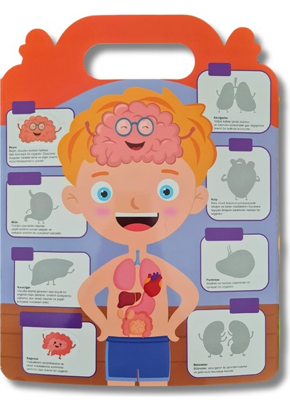 Ilk Sticker Kitabım Tekrar Kullanılabilir 44 Adet Sticker indirimleri