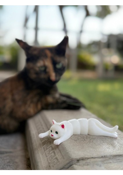 Minik Beyaz Sevimli Eklemli Kedi