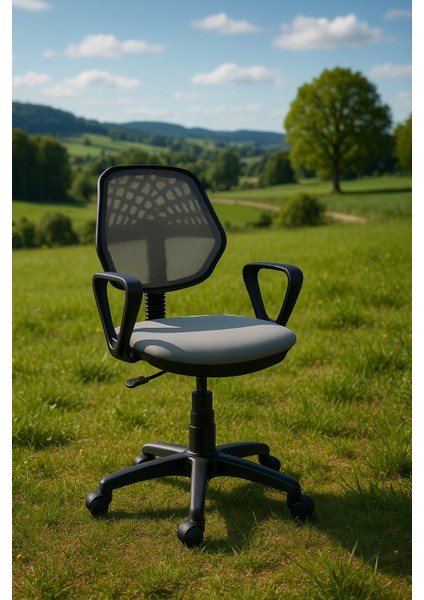 Ev ve Ofis Çalışma Koltuğu Öğrenci Sandalyesi Döner Sandalye Patron Koltuğu fiyatları