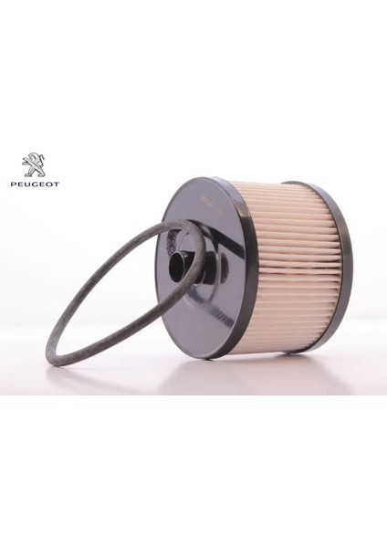 Mazot Filtresi 307 308 407 Expert Focus 2.0 Hdi/19