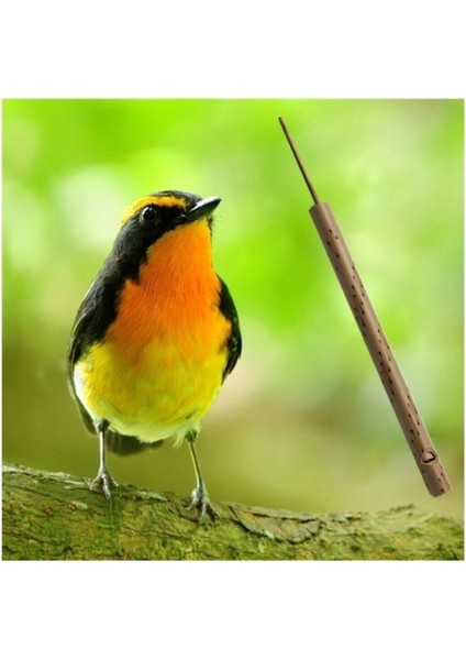 Ahşap Bambu Kuş ve Ördek Dili Müzik Düdük Flüt Eğlence Aracı fırsatları